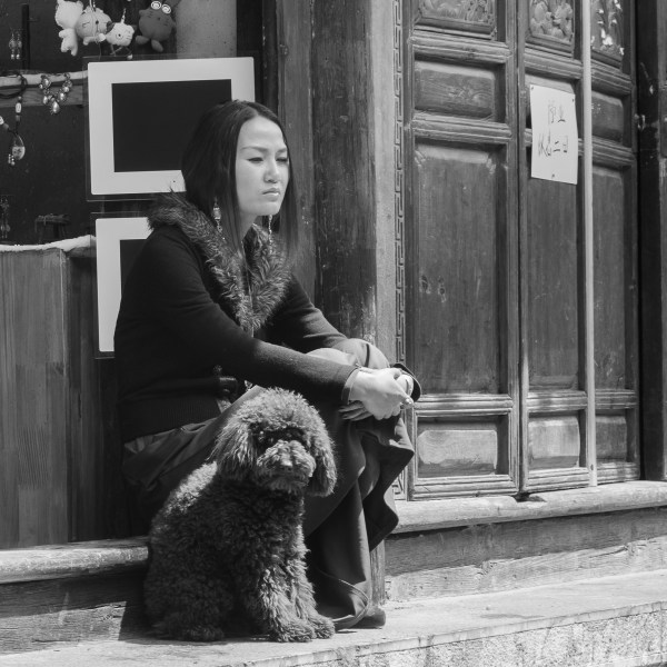 And How Obedient and Well-Trained They Were